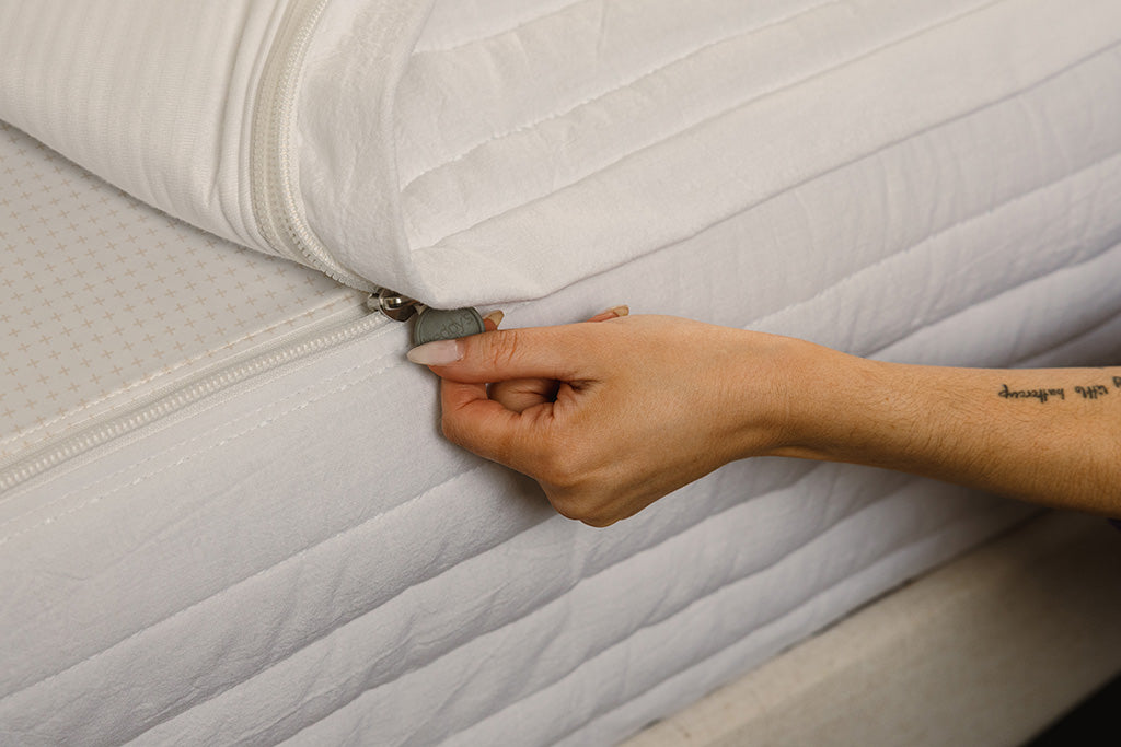 
                  
                    Emerson Luxe Beddy's
                  
                