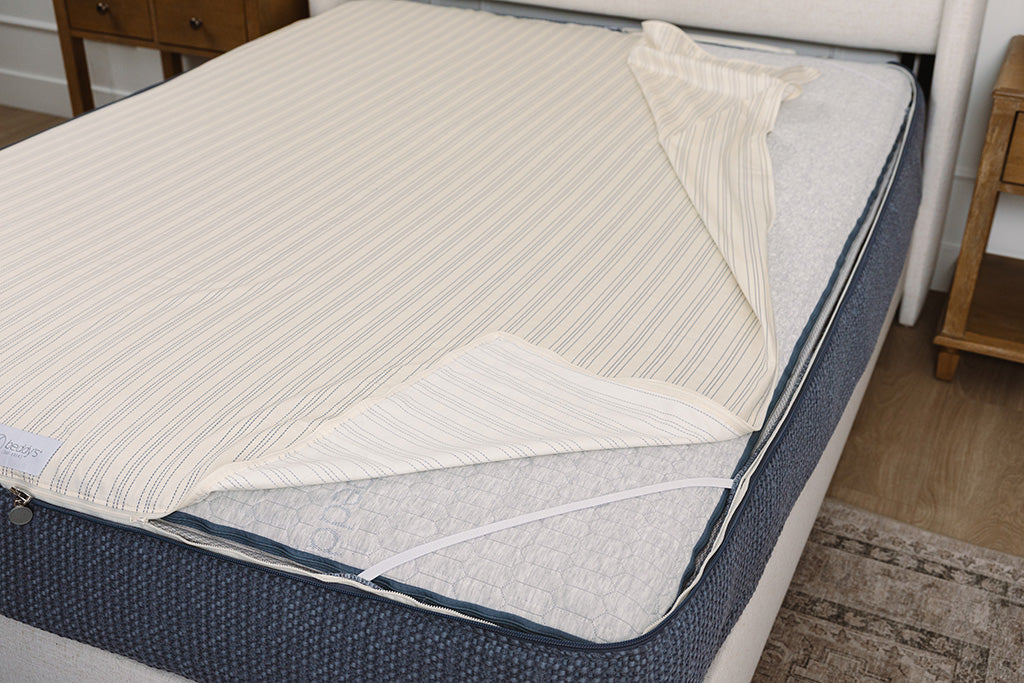 
                  
                    Gentry Luxe Beddy's
                  
                